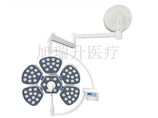 LED700（壁挂式）花瓣款